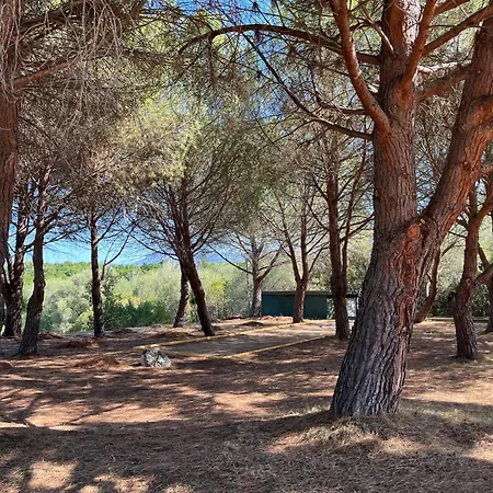 Florent - 2 Couchages Avec Piscine *